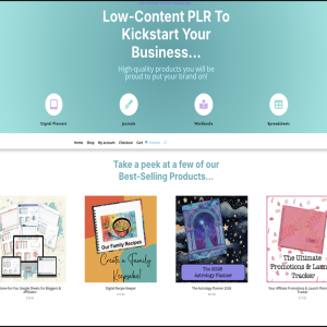 Your PLR Website